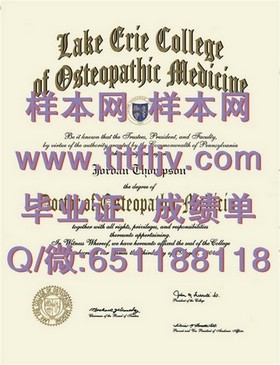 《巴斯大学官方文凭样本大揭秘：成绩单、毕业证详解，留学必备攻略》