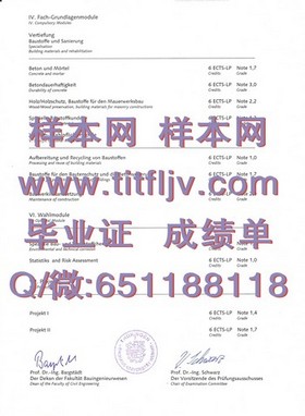《布鲁奈尔大学文凭全解析：深度揭秘毕业证、成绩单样本细节》
