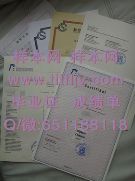 《北安普顿大学官方文凭解析：毕业证、成绩单样本大揭秘》