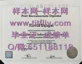 《里贾纳大学文凭样本揭秘：深度解析真实成绩单与毕业证细节》