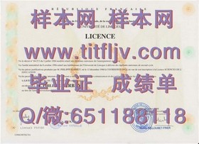 《瑞尔森大学文凭样本揭秘：如何辨识真伪与解读成绩单》