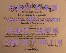 《马来西亚南方学院真实文凭样本大揭秘：毕业证、成绩单全解析》