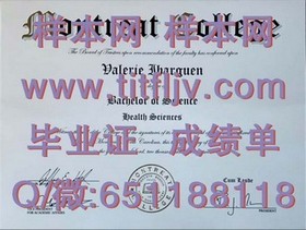 《马来西亚英迪大学文凭样本大揭秘：真实成绩单解析与获取指南》