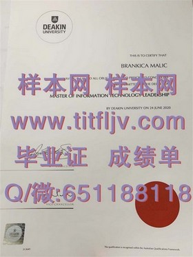 《南昆士兰大学官方文凭样本大揭秘：成绩单详解及获取途径》