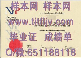 《深度揭秘：谢菲尔德大学文凭样本全解析，留学必备成绩单指南》