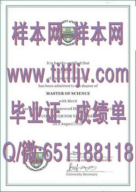 《揭秘莱斯特大学文凭样本：真实成绩单展示，留学必备指南》
