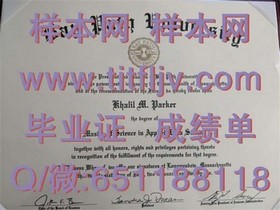 《安格利亚罗斯金大学文凭全解析：成绩单样本深度揭秘，留学必备！》