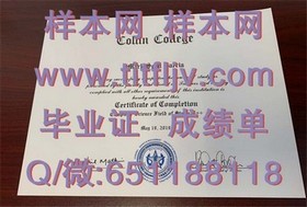 《阿伯泰邓迪大学毕业证文凭成绩单样本揭秘：权威指南助你辨识真伪》