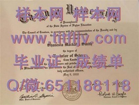 《揭秘阿伯丁学院真实毕业证样本：文凭成绩单详解，留学参考必备》