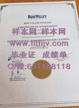 《亨里管理学院文凭样本揭秘：详览毕业证与成绩单样版，助你轻松识别真伪》