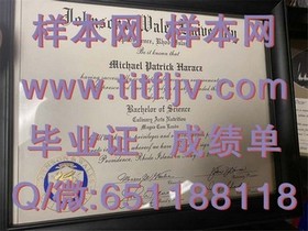 《奥塔哥大学毕业证文凭成绩单高清样本大揭秘：留学必备参考指南》