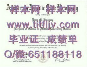《奥塔哥理工学院毕业证样本大揭秘：文凭成绩单详解，留学参考必备》