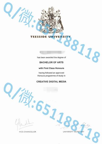 《都柏林大学文凭：开启全球职场黄金钥匙，成就未来精英之路》