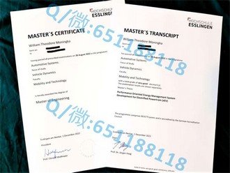《都柏林大学文凭：开启全球学术之旅的黄金钥匙》