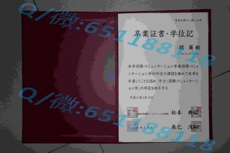 《利默里克大学文凭：开启国际教育新篇章的通行证》