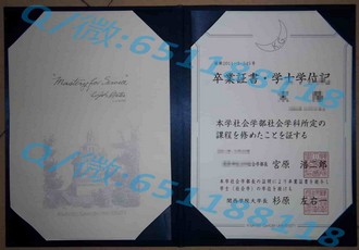 新加坡共和理工学院文凭：解锁国际化教育新篇章