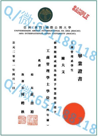 《奥塔哥理工学院文凭：开启国际教育新篇章的通行证》