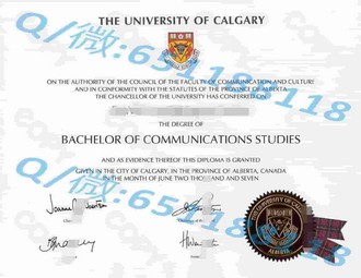 《揭秘爱德华蒙卑狄学院文凭：开启名校之路的关键钥匙》