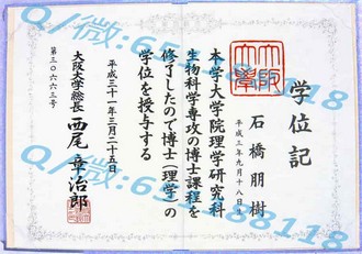 多伦多大学文凭：开启你的学术与职业新篇章