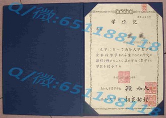 《布鲁奈尔大学文凭：开启你的学术与职业新篇章》