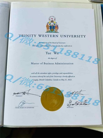 《里丁大学文凭：开启你国际学术生涯的黄金钥匙》