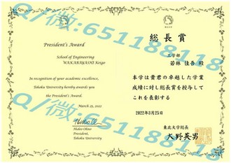 《切斯特大学文凭：开启国际化教育之旅的钥匙》