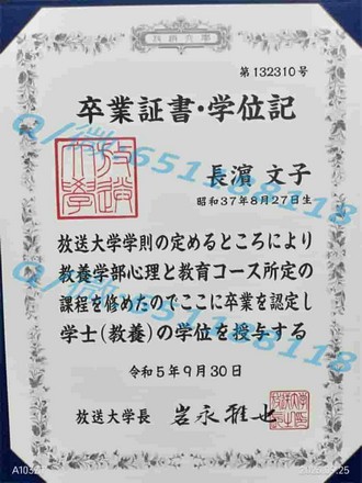 《约克圣约翰大学文凭：开启你的全球学术之旅，成就非凡人生》