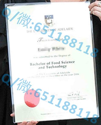 《诺丁汉特伦特大学文凭：开启未来职场新篇章的钥匙》