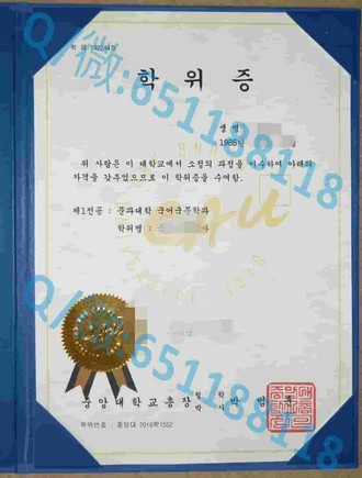 《里贾纳大学文凭：开启职业生涯的敲门砖与教育巅峰》