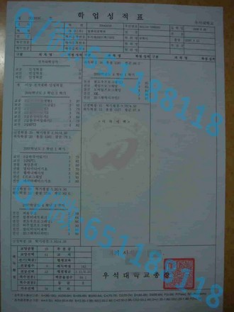 《瑞尔森大学文凭：开启你未来职业道路的金钥匙》