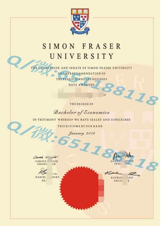 《英属哥伦比亚理工学院文凭：开启全球认可的学术之旅》