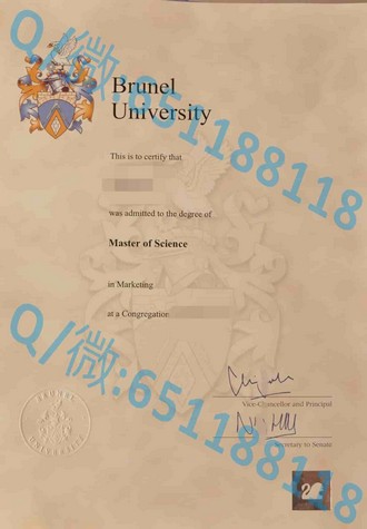 《墨尔本大学文凭：开启你的全球精英之路》