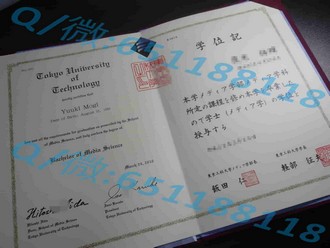 《昆士兰理工大学文凭：开启未来职业发展的大门》
