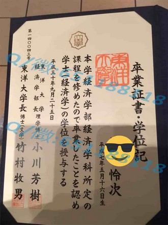 《梅努斯大学文凭：开启国际教育新篇章，成就未来职场精英》