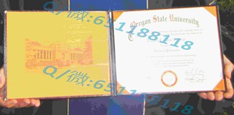 《新加坡国立大学文凭：开启全球认可的教育之门》