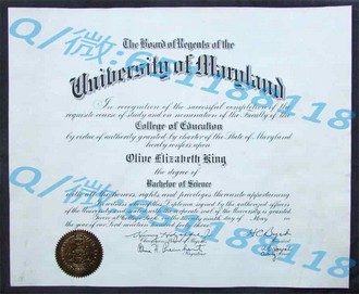 《新布伦瑞克大学文凭：开启你的全球精英之路》