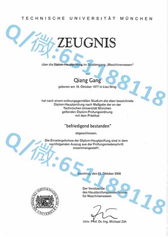 《都柏林大学圣三一学院文凭：开启全球学术精英之路的黄金钥匙》