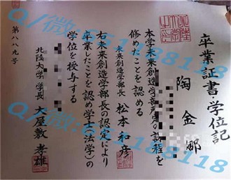 《曼彻斯特城市大学文凭：开启职场新篇章的关键钥匙》