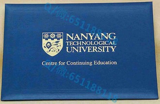 《意大利比萨大学文凭：全球认可的学术瑰宝，开启您辉煌未来的钥匙》