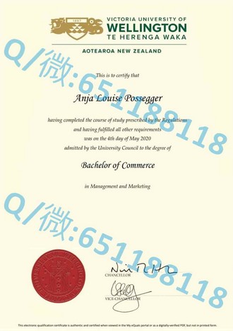 《爱尔兰高威大学文凭：成就全球认可的学术卓越之路》