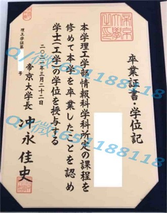 《揭秘新英格兰大学文凭：成就未来精英的摇篮》