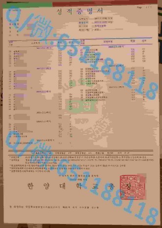 《堪培拉理工学院文凭：揭开全球教育新标杆的秘密》