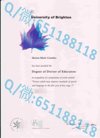 《巴斯大学文凭：开启全球职场通行证的黄金钥匙》