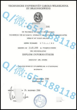 《布鲁奈尔大学文凭：揭开英国顶尖学府的学历魅力与就业价值》