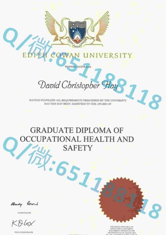 《南洋理工大学文凭：国际认可的教育成就，开启全球职场大门》