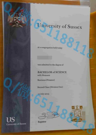 《揭秘泰晤士河谷大学文凭：开启全球就业新机遇的秘密武器》