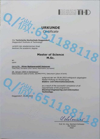 《白金汉大学文凭：开启国际教育新篇章的黄金钥匙》