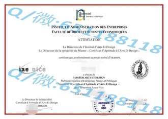 《格拉斯哥大学文凭：开启职业生涯的敲门砖与全球认可的象征》