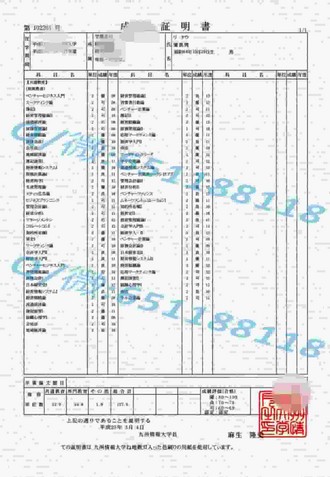 《悉尼大学文凭：开启国际化教育新篇章的秘密钥匙》