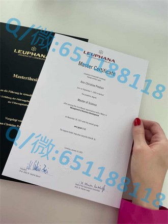《斯特拉斯克莱德大学文凭：开启全球职场新篇章的秘密武器》